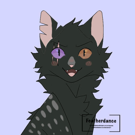 felidaze's cool cat creator｜Picrew