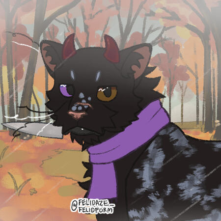 felidaze's cool cat creator