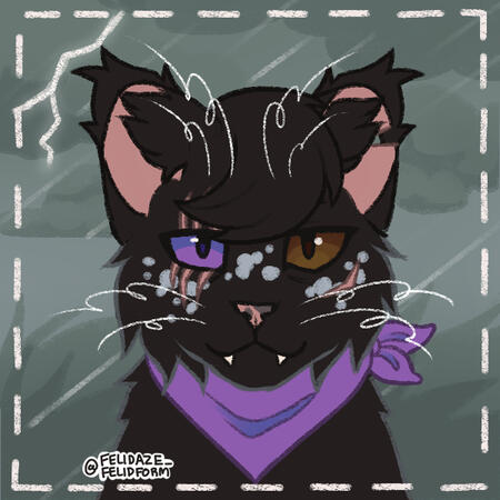 felidaze's warrior cat creator